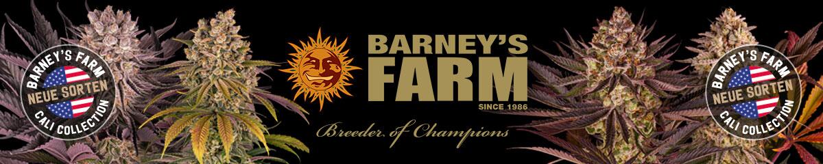 Barneys Farm 2024