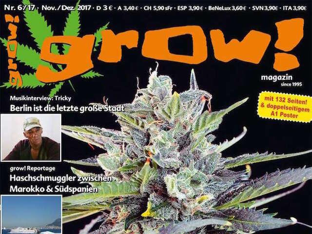 grow! 6-17 Cover Ausschnitt