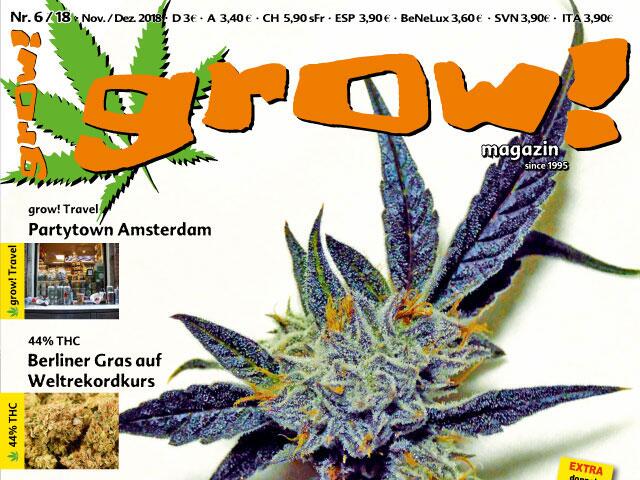 grow! 6-18 Cover Ausschnitt