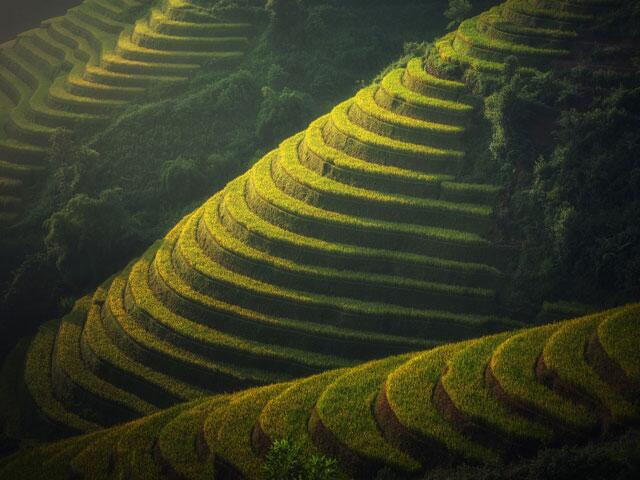 Myanmar