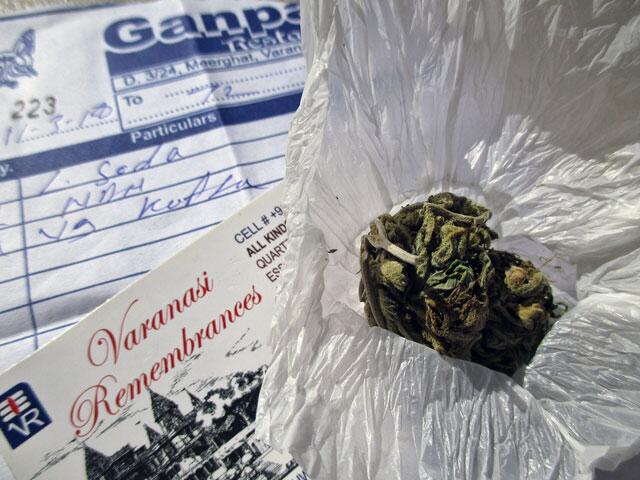 Indian Weed