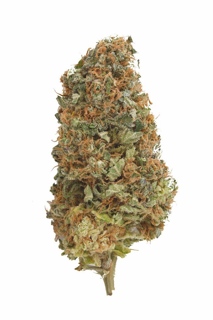 Cannabidiol (CBD) Bud