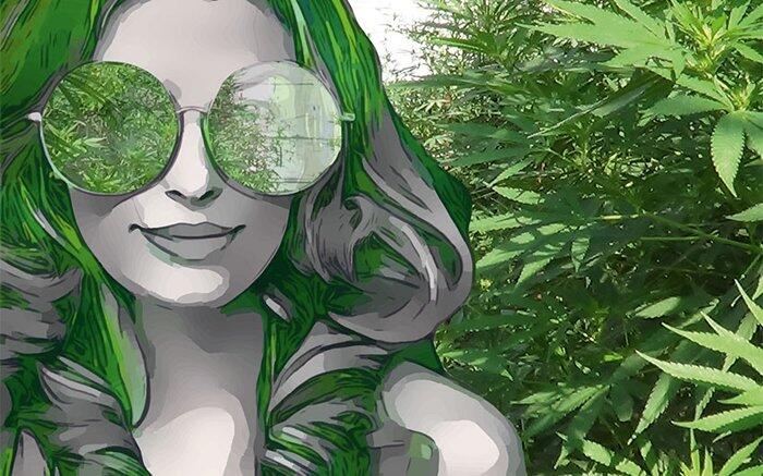 Cannabis Lifestyle