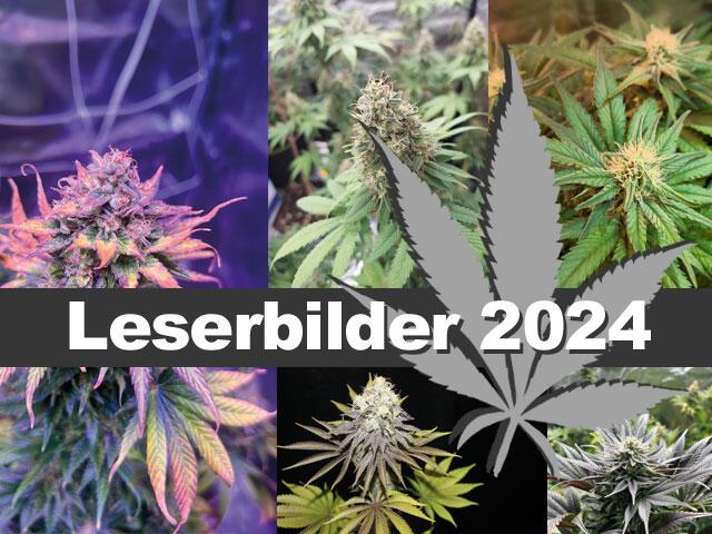 Leserbilder 2024
