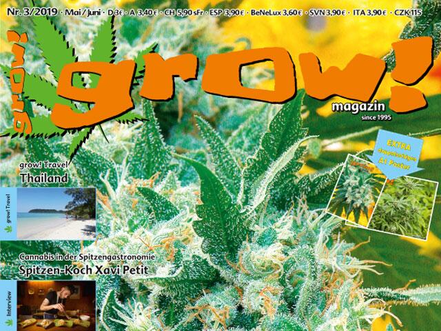 grow! 03-19 Cover Ausschnitt