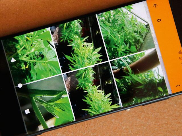 Verreisen? Aber sicher!  grow! Magazin 6-19