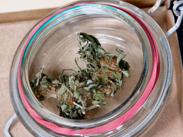 Fermentation -  Gutes noch weiter veredeln grow! Magazin 01-2020