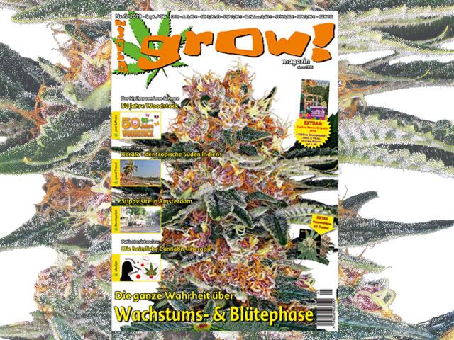 grow! 05-19 Cover