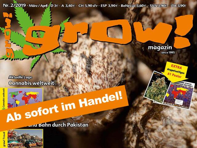 grow! 02-19 Cover Ausschnitt