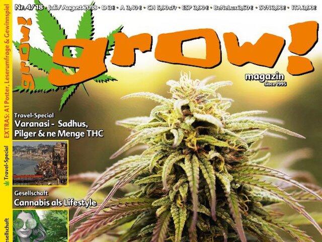 grow! 4-18 Cover Ausschnitt