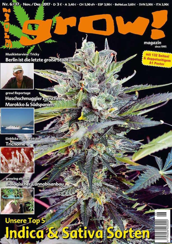 grow! 6-17 Cover komplett