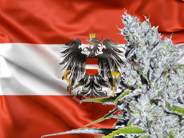 CBD-Verkauf in Österreich