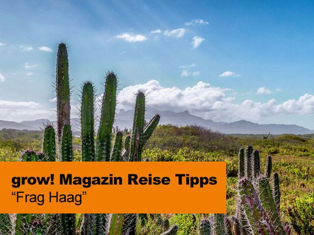grow! Magazin reise Tipps Frag Haag