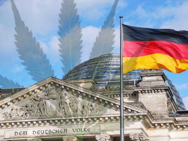 In Berlin soll ein landeseigenes Unternehmen Cannabis zu medizinischen Zwecken anbauen lassen.