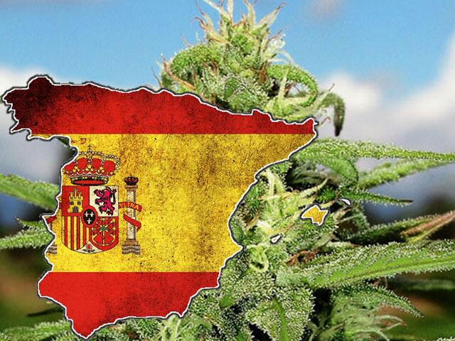 Spanien, Justiz bestraft Eigenkonsum immer seltener