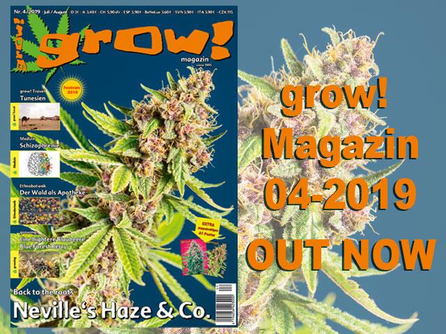 grow! 04-19 Cover