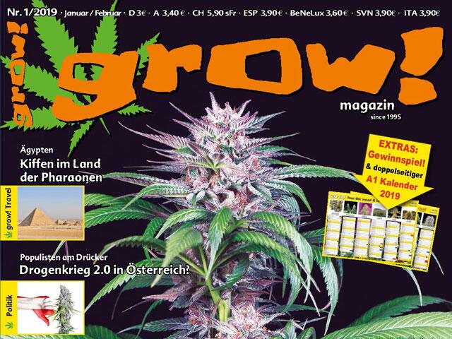 grow! 1-19 Cover Ausschnitt