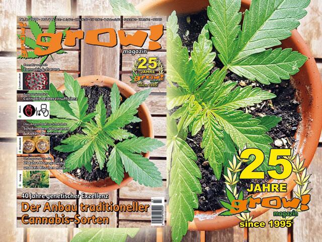 grow! Magazin 3-20 Cover