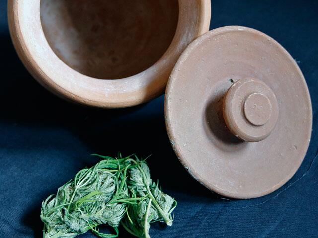 Fermentation -  Gutes noch weiter veredeln grow! Magazin 01-2020