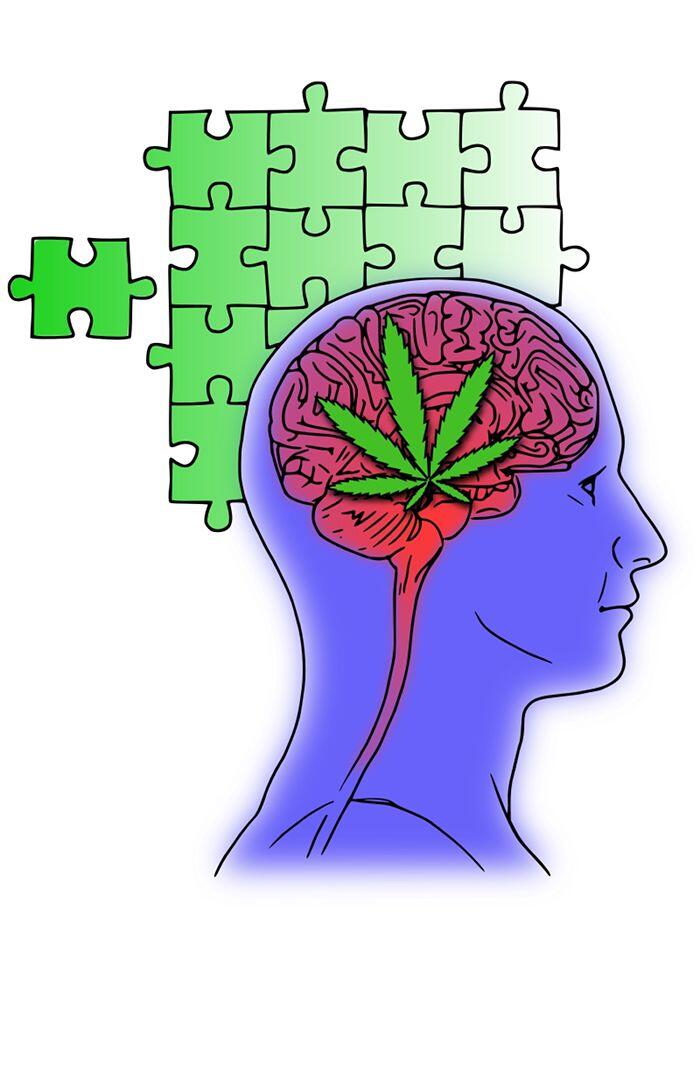 Cannabis bei Autismus