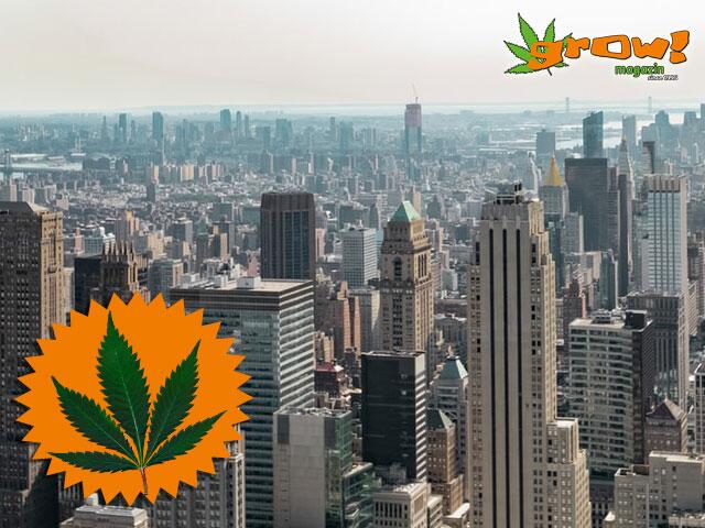 New York entkriminalisiert Cannabis