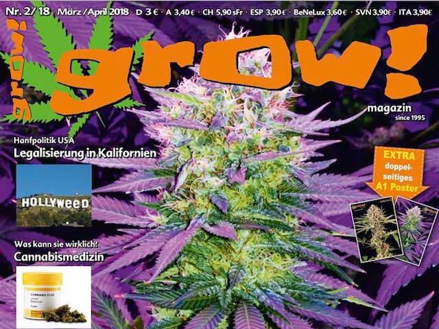 grow! 2-18 Cover Ausschnitt