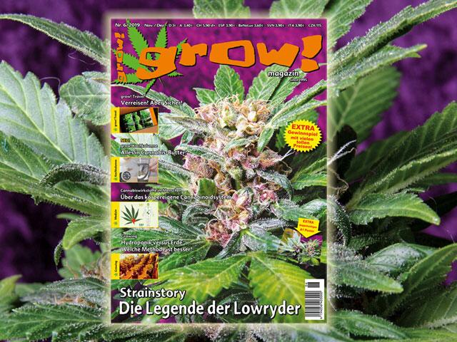 grow! 06-19 Cover
