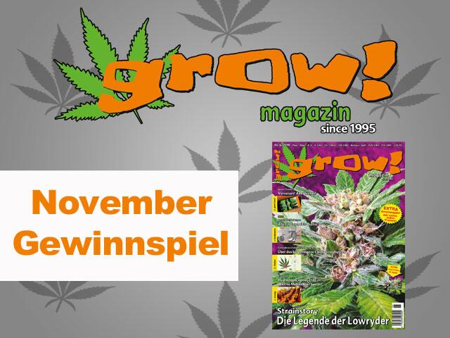 November Gewinnspiel