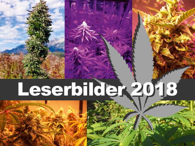 Leserbilder Galerie 2018