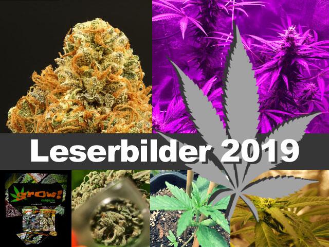 Leserbilder 2019