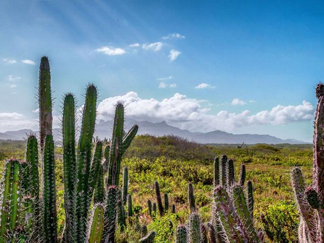 Venezuela