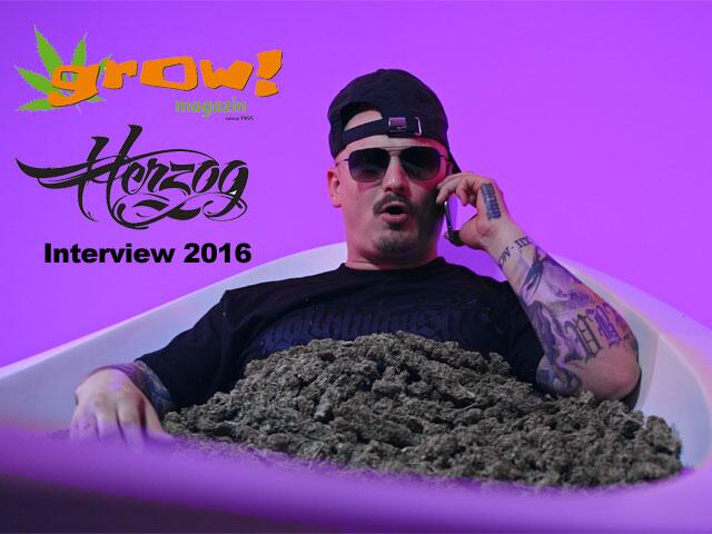Herzog Interview 2016