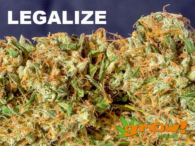Legalisierung
