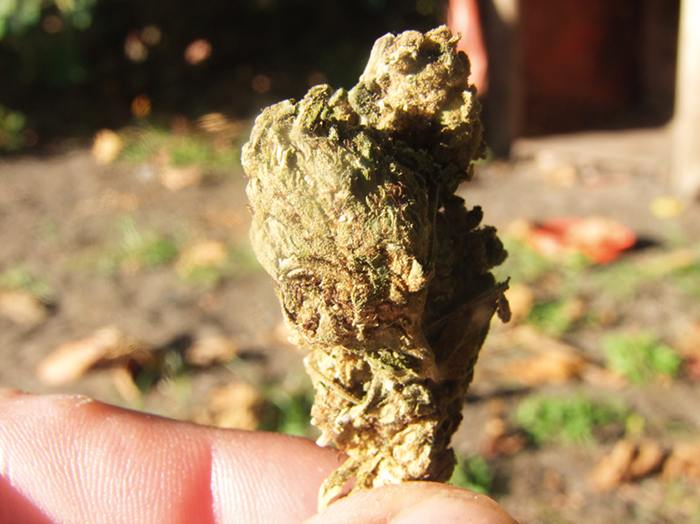 Andalusien Wo Die Senioren Chillen Grow Magazin