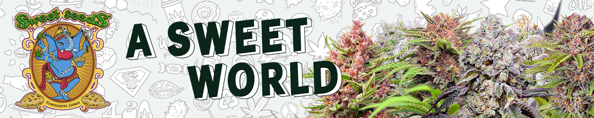 SweetSeeds2023