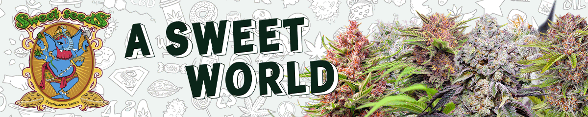 SweetSeeds2023
